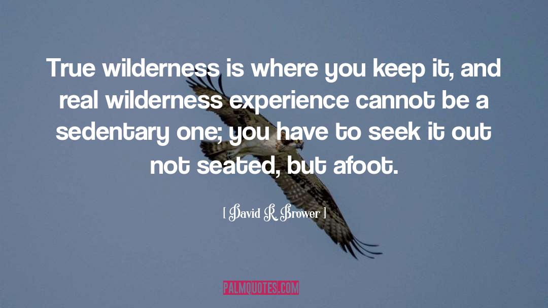 Wilderness quotes by David R. Brower