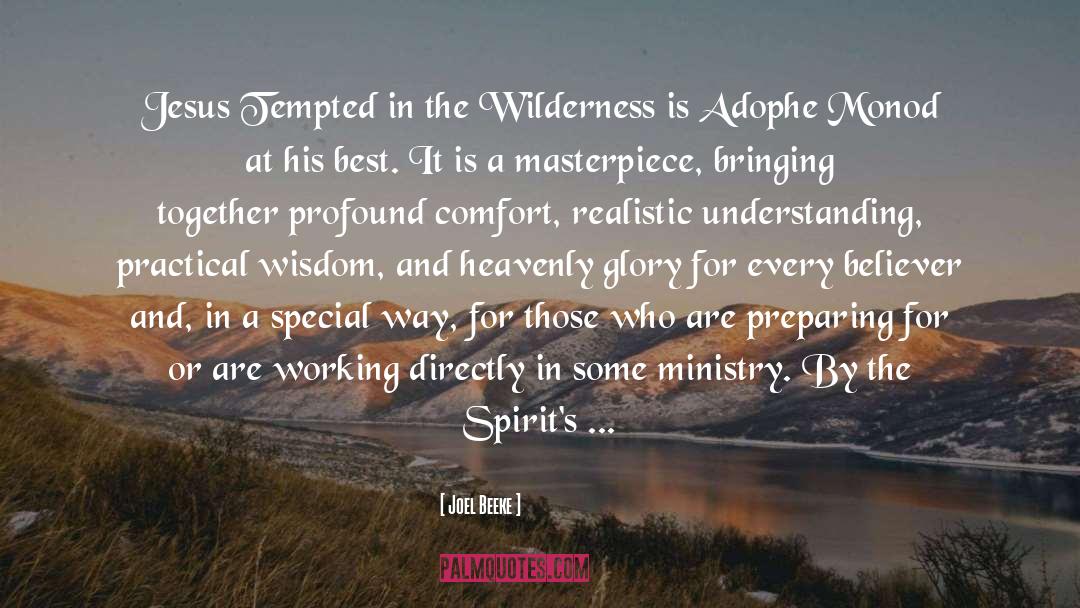 Wilderness quotes by Joel Beeke