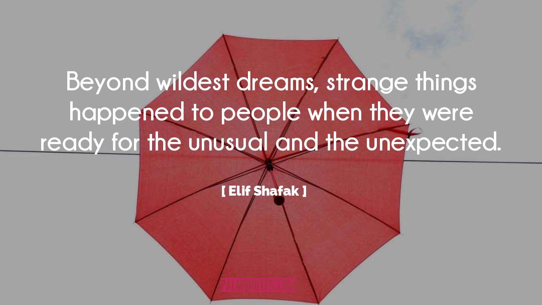 Wildest Dreams quotes by Elif Shafak