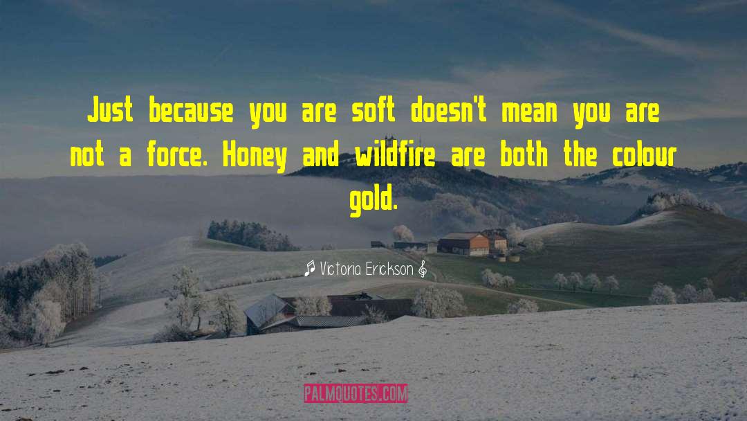 Wildfire quotes by Victoria Erickson