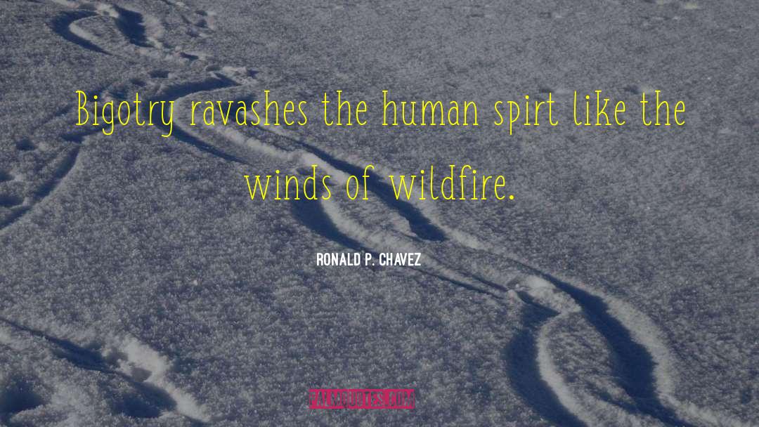 Wildfire quotes by Ronald P. Chavez