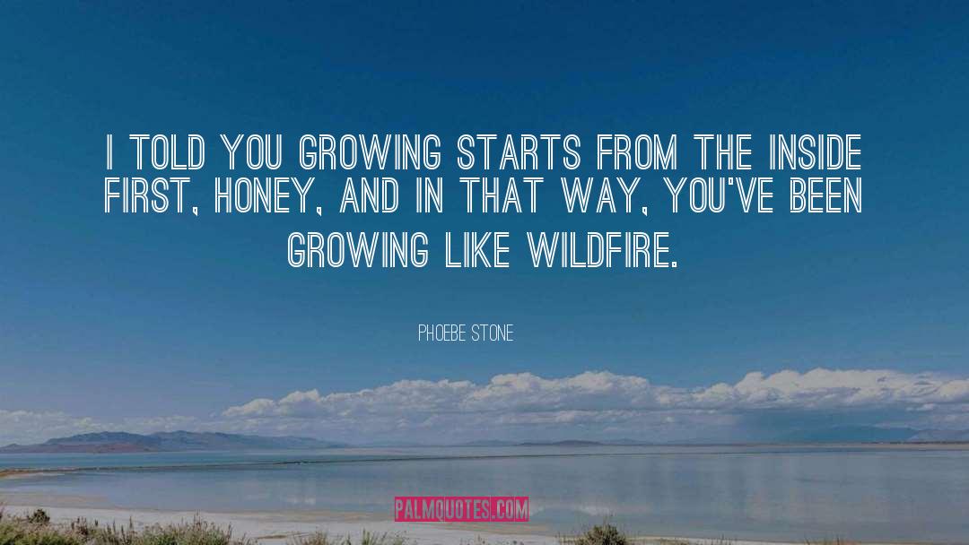 Wildfire quotes by Phoebe Stone