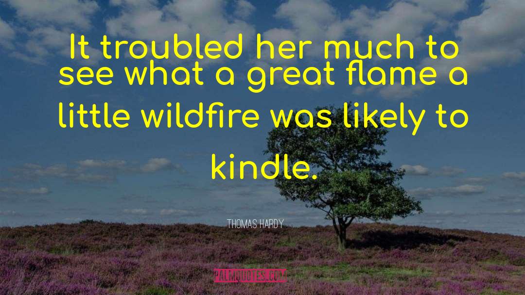Wildfire quotes by Thomas Hardy