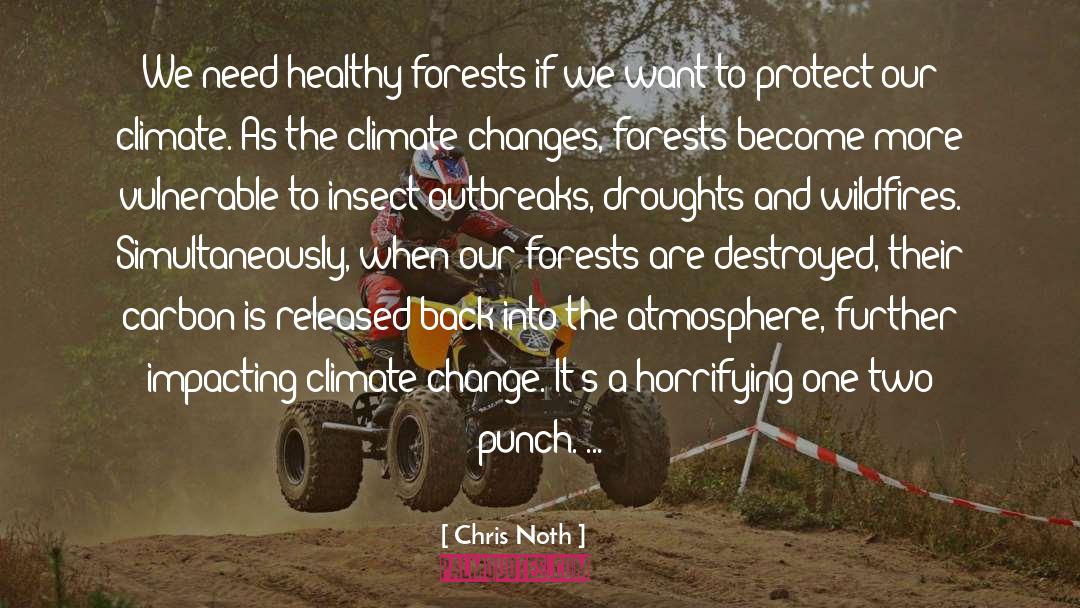 Wildfires quotes by Chris Noth