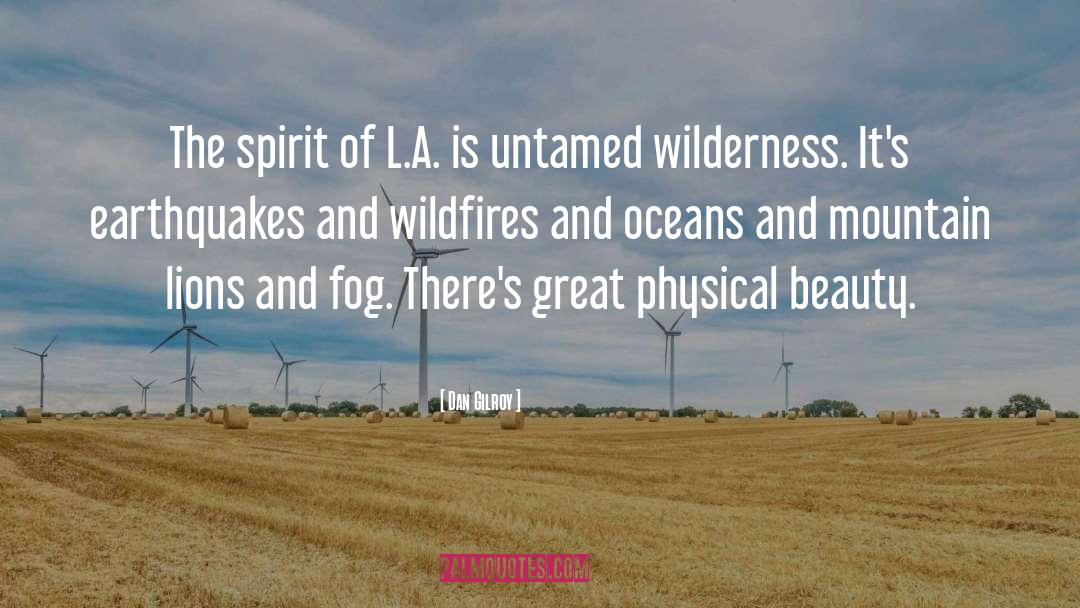 Wildfires quotes by Dan Gilroy