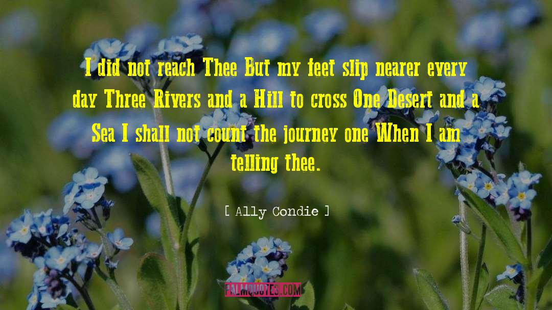 Wildflower Hill quotes by Ally Condie