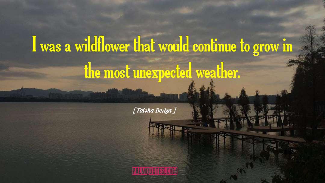 Wildflower quotes by Taisha DeAza