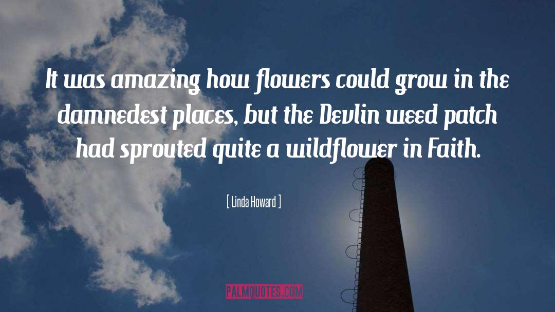 Wildflower quotes by Linda Howard
