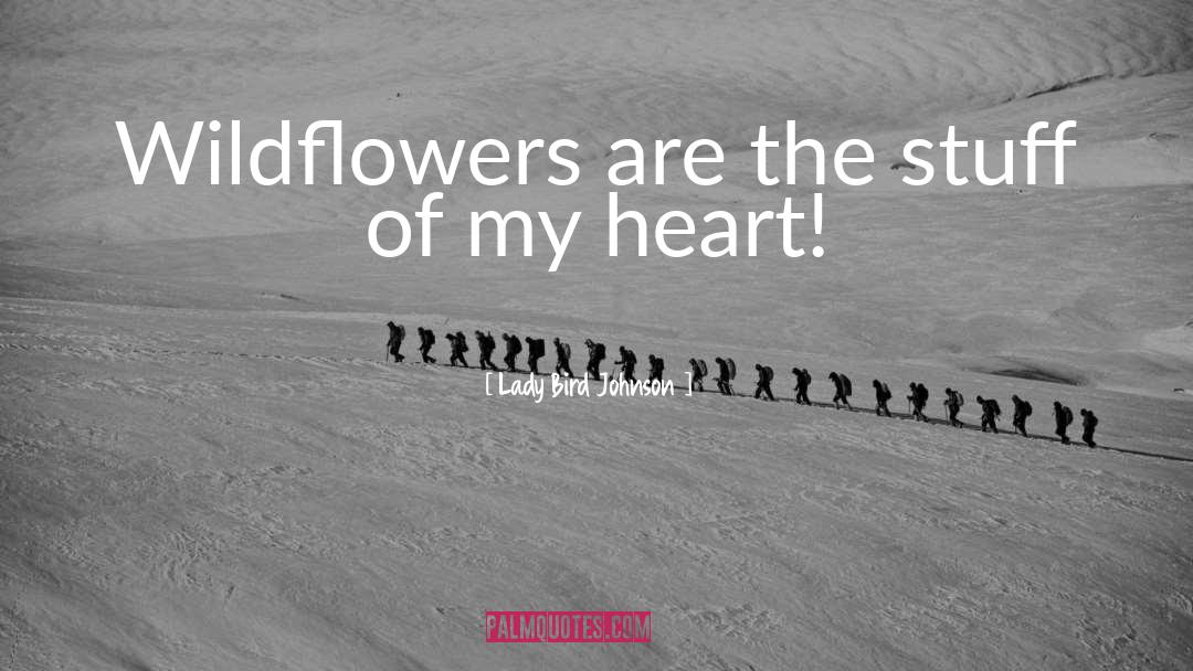 Wildflowers quotes by Lady Bird Johnson