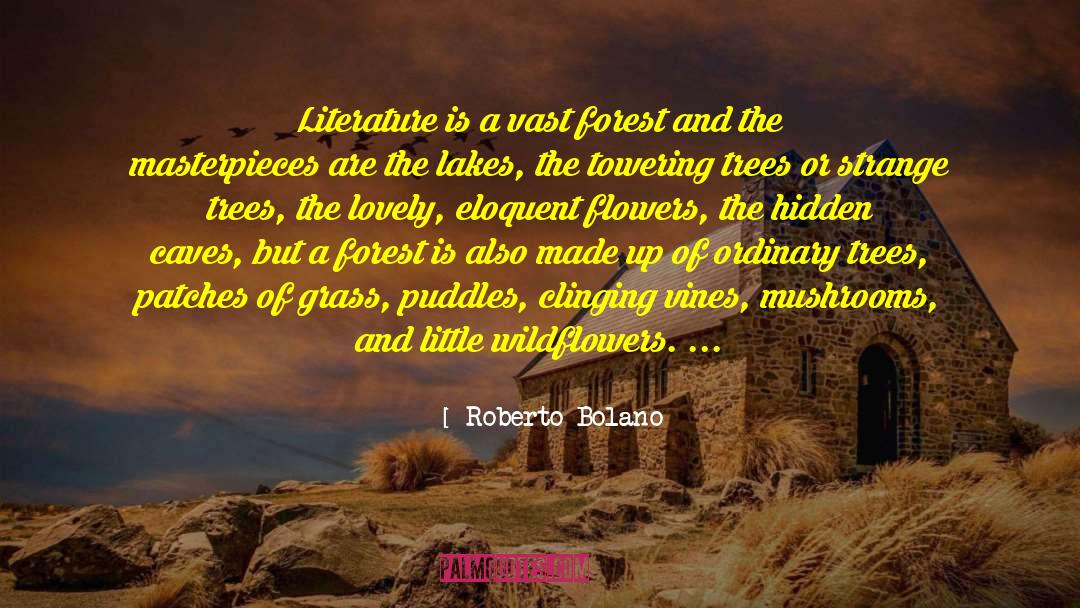 Wildflowers quotes by Roberto Bolano