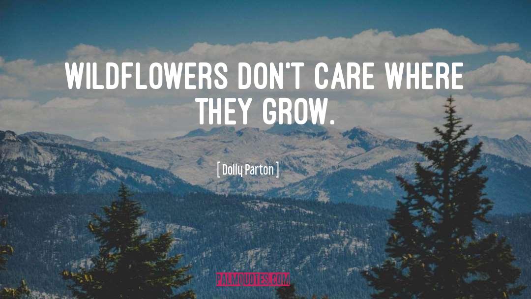 Wildflowers quotes by Dolly Parton