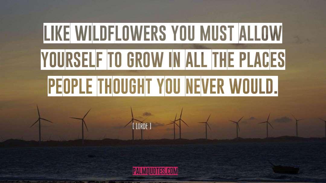 Wildflowers quotes by Lorde