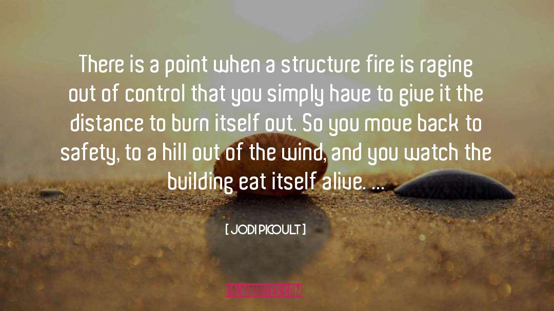 Wildland Firefighting quotes by Jodi Picoult