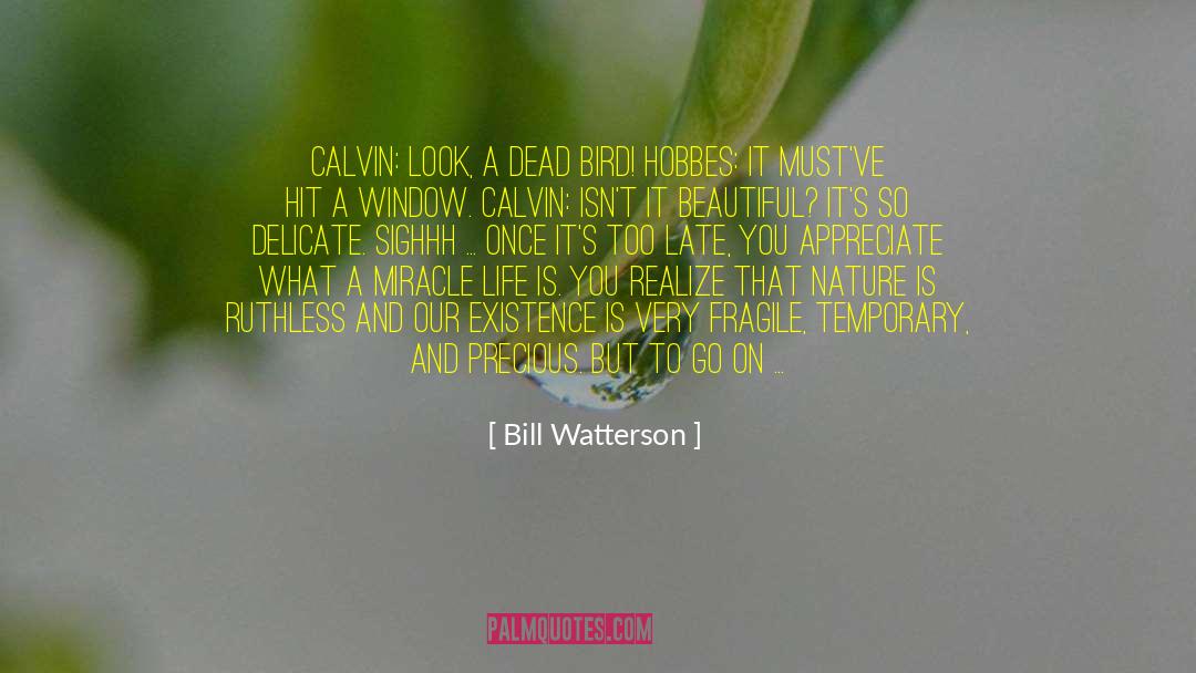 Wildlife And Nature quotes by Bill Watterson