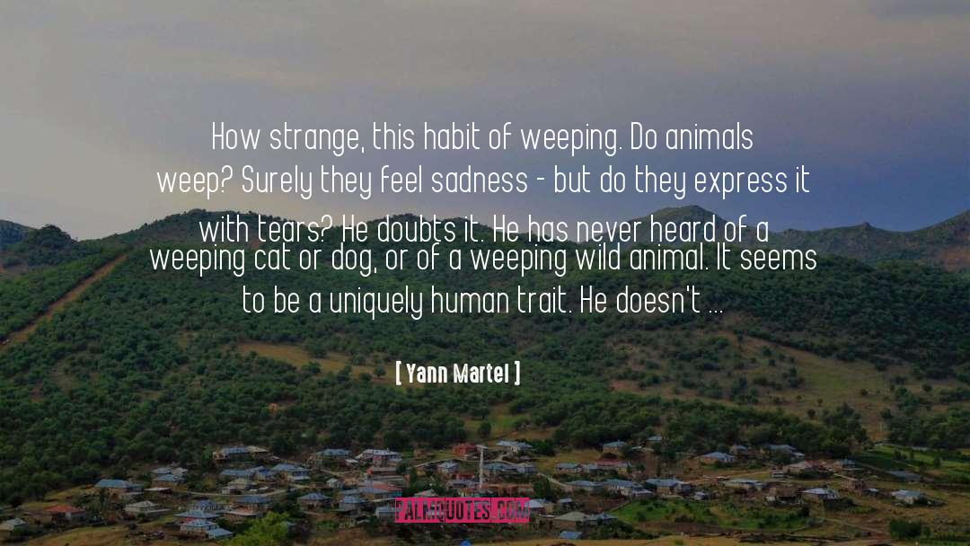 Wildlife Animals quotes by Yann Martel