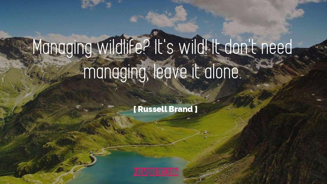 Wildlife quotes by Russell Brand