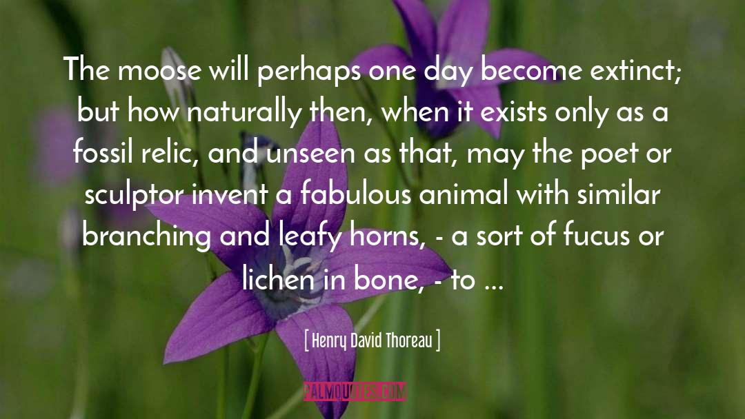 Wildlife quotes by Henry David Thoreau