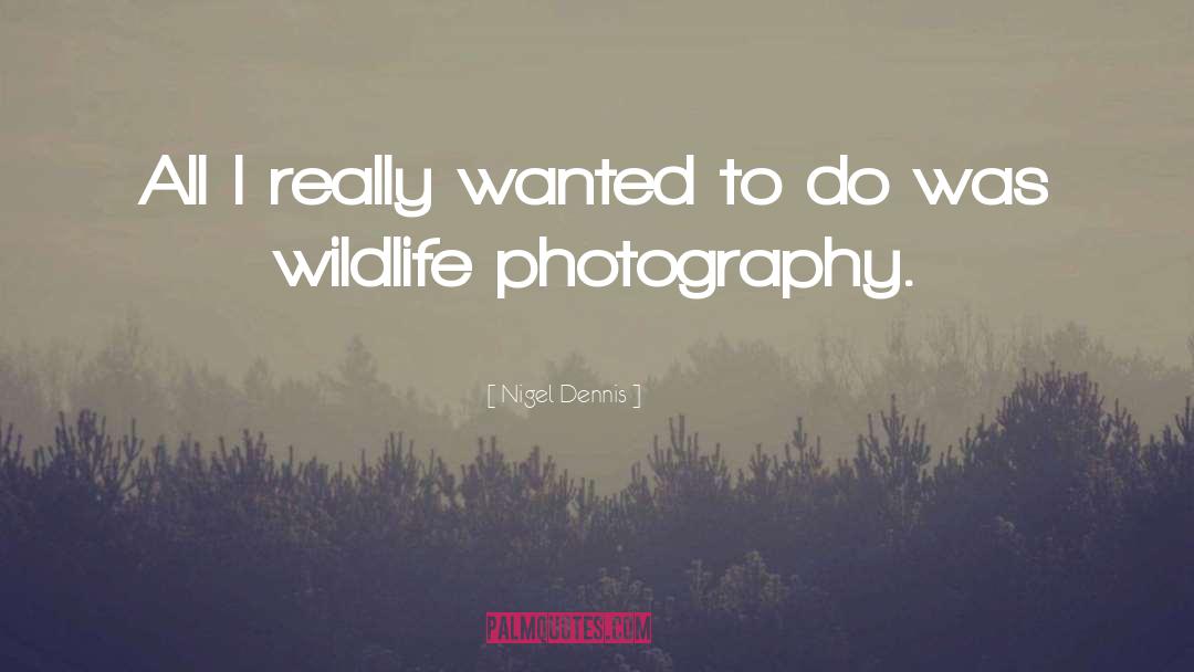 Wildlife quotes by Nigel Dennis