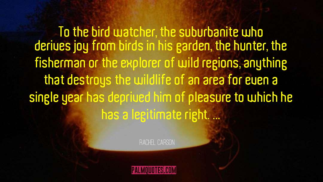 Wildlife Rehabilitation quotes by Rachel Carson