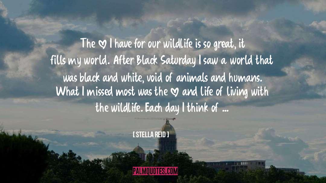 Wildlife Tracking quotes by Stella Reid