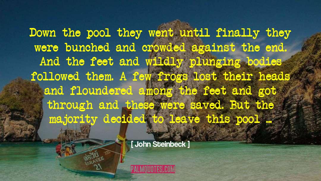 Wildly quotes by John Steinbeck