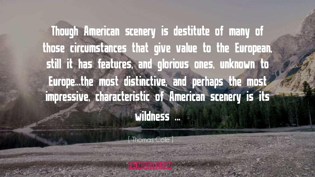 Wildness quotes by Thomas Cole