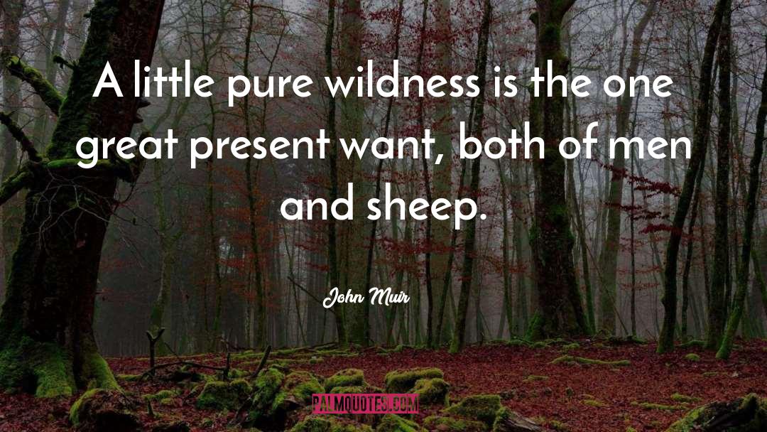 Wildness quotes by John Muir