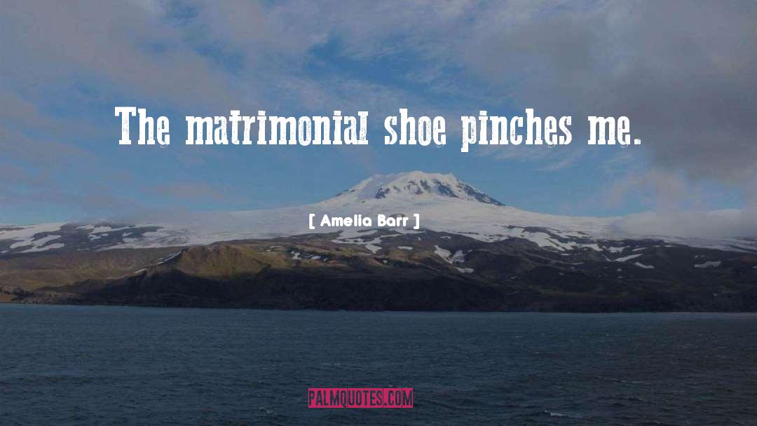 Wildsmith Shoe quotes by Amelia Barr