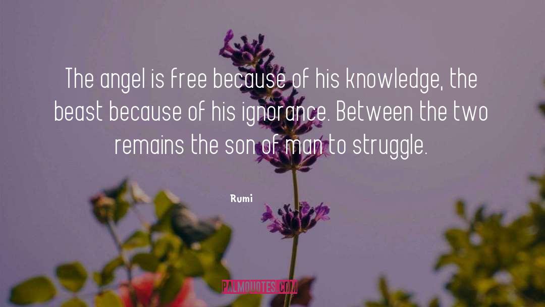 Wilful Ignorance quotes by Rumi