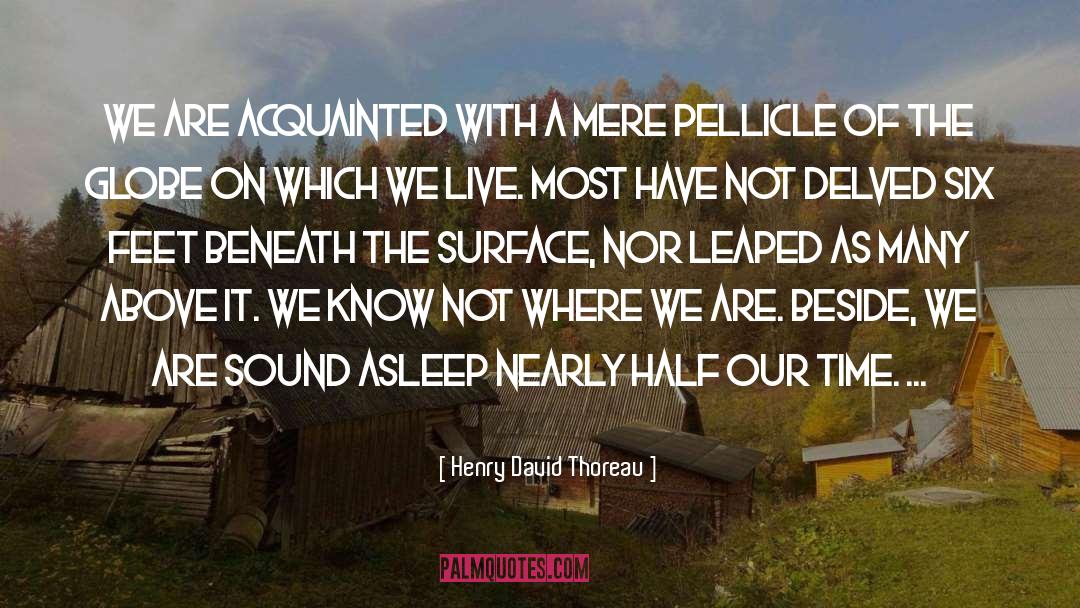 Will Henry quotes by Henry David Thoreau