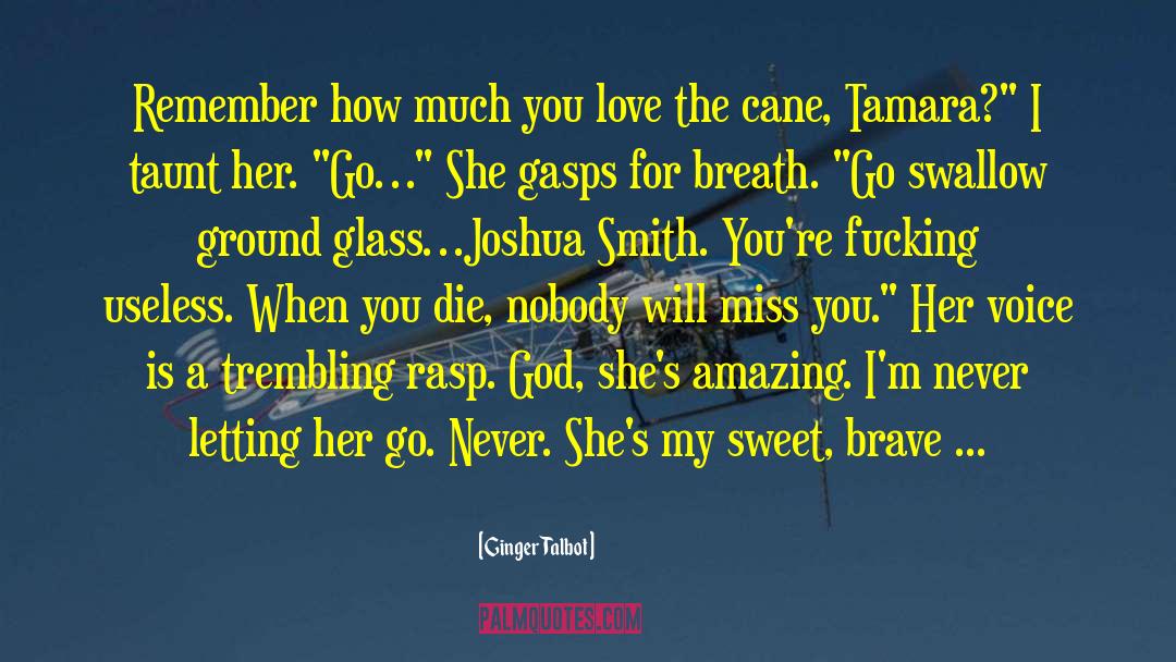 Will Miss You quotes by Ginger Talbot
