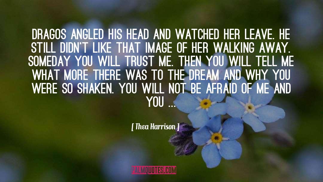 Will Not Be Afraid quotes by Thea Harrison