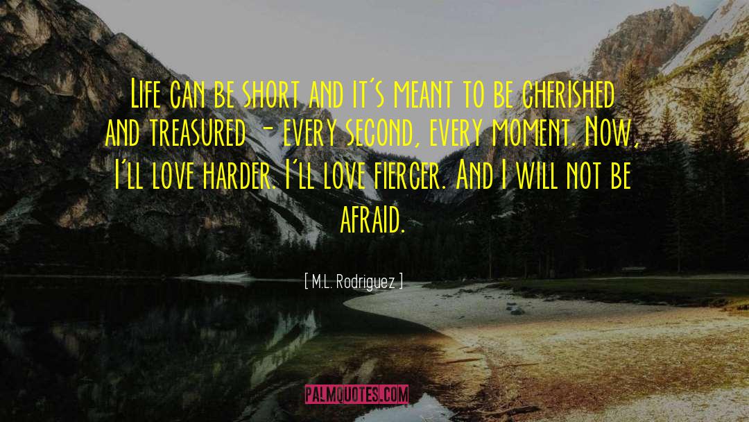 Will Not Be Afraid quotes by M.L. Rodriguez