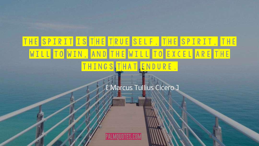 Will To Win quotes by Marcus Tullius Cicero