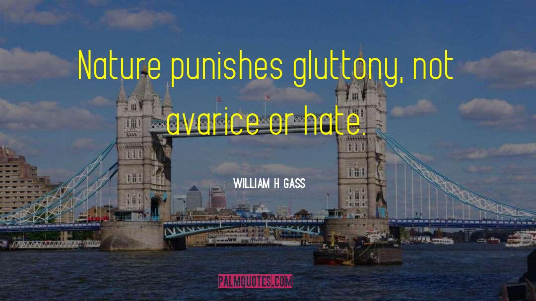 William H Gass quotes by William H Gass