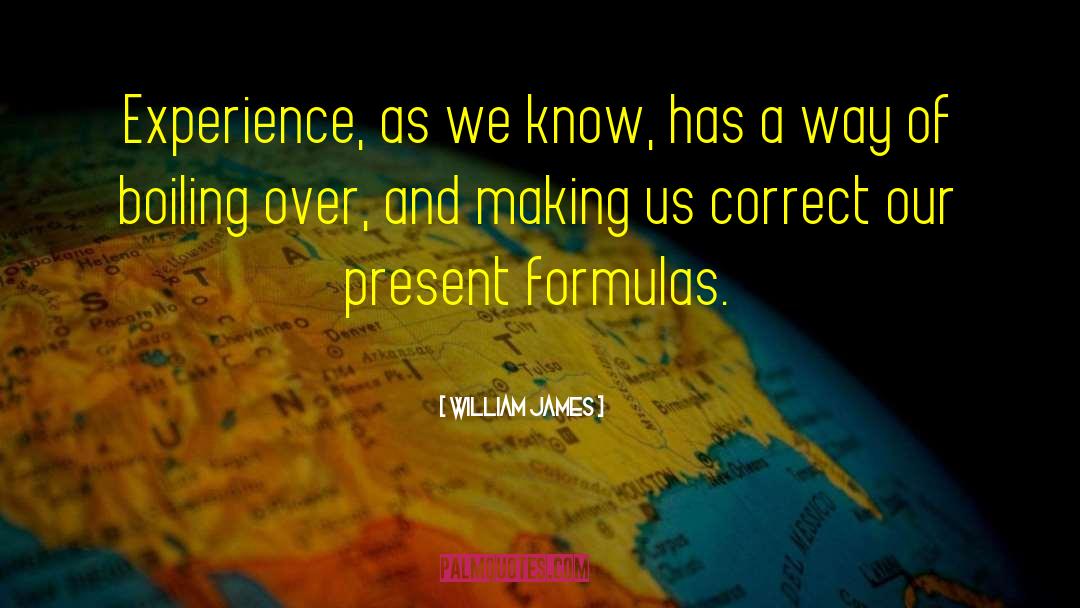 William Herondale quotes by William James