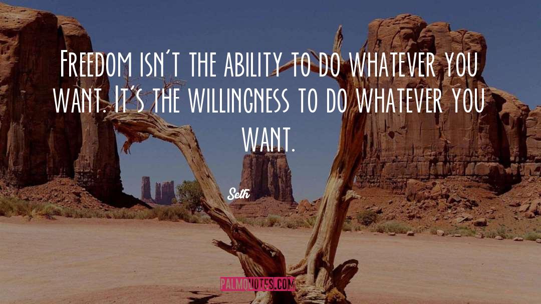 Willingness quotes by Seth