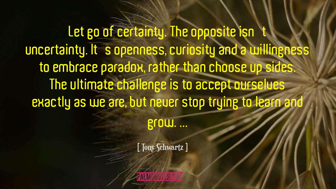 Willingness To Sacrifice quotes by Tony Schwartz