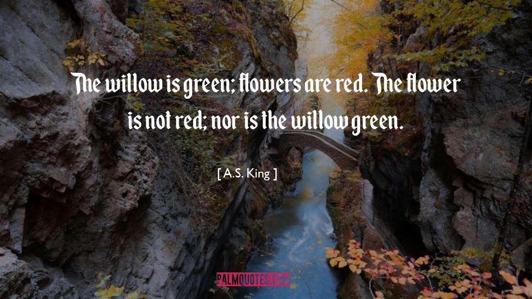 Willow quotes by A.S. King