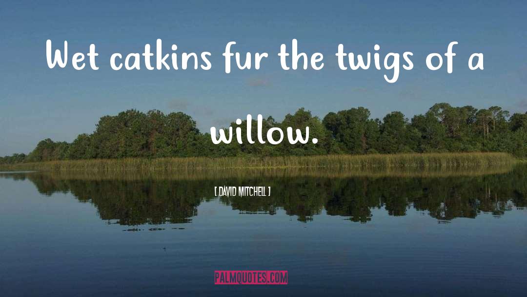 Willow quotes by David Mitchell