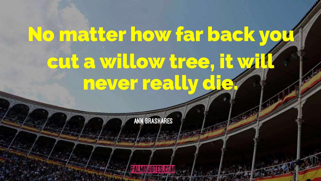 Willow Tree quotes by Ann Brashares