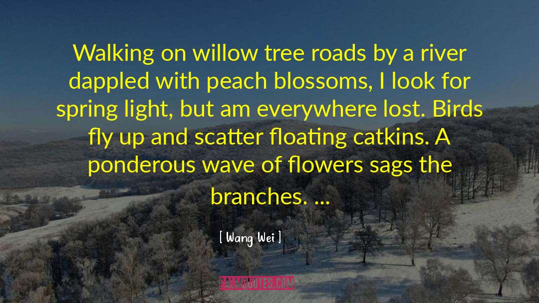 Willow Tree quotes by Wang Wei