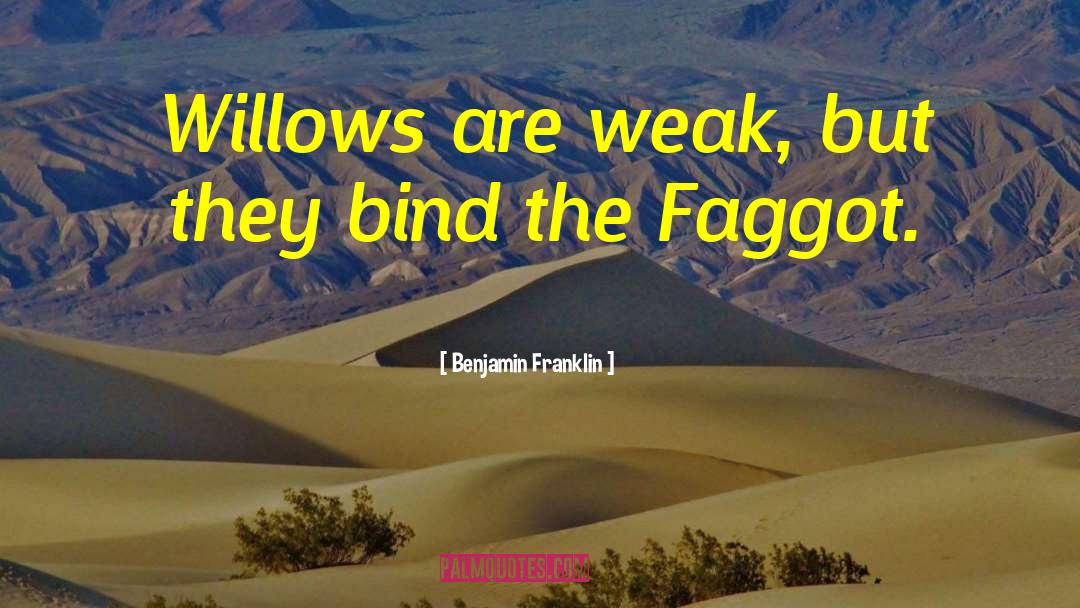 Willows quotes by Benjamin Franklin