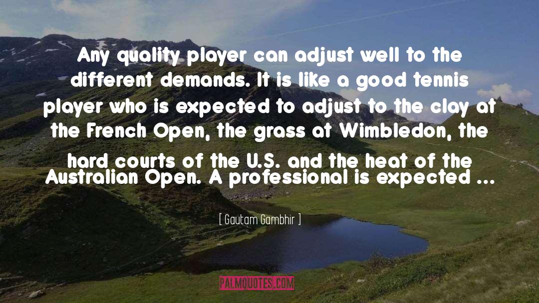 Wimbledon quotes by Gautam Gambhir