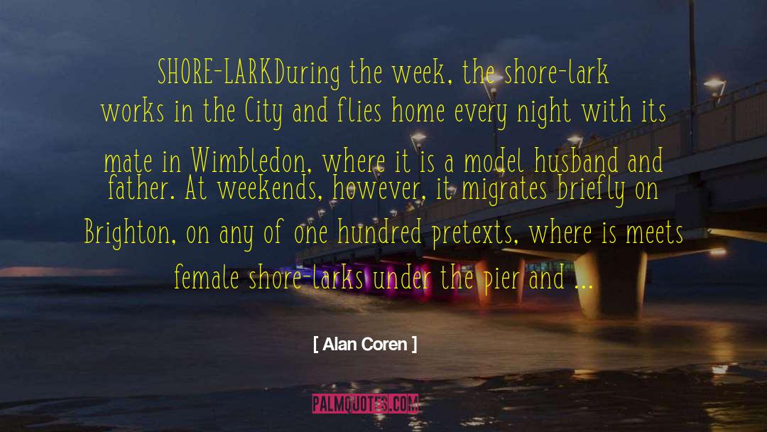 Wimbledon quotes by Alan Coren