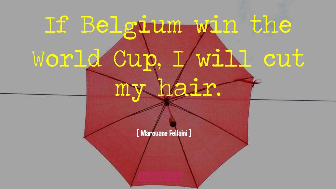 Win The World quotes by Marouane Fellaini
