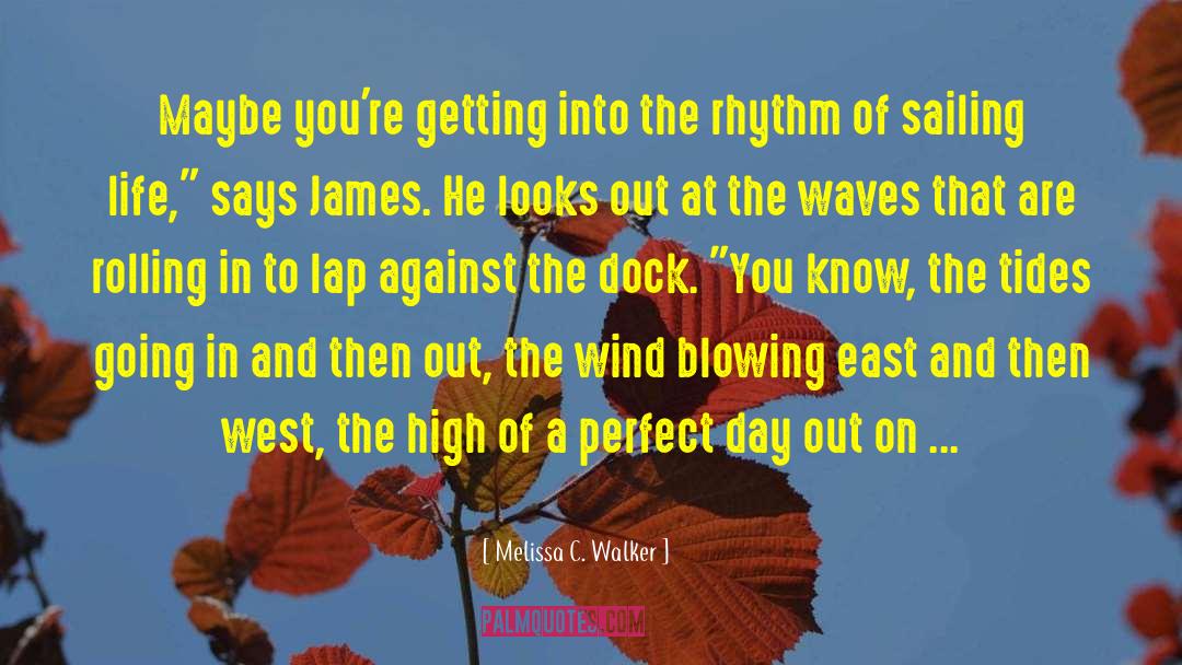 Wind Blowing quotes by Melissa C. Walker
