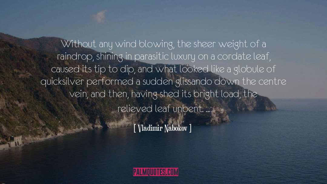 Wind Blowing quotes by Vladimir Nabokov