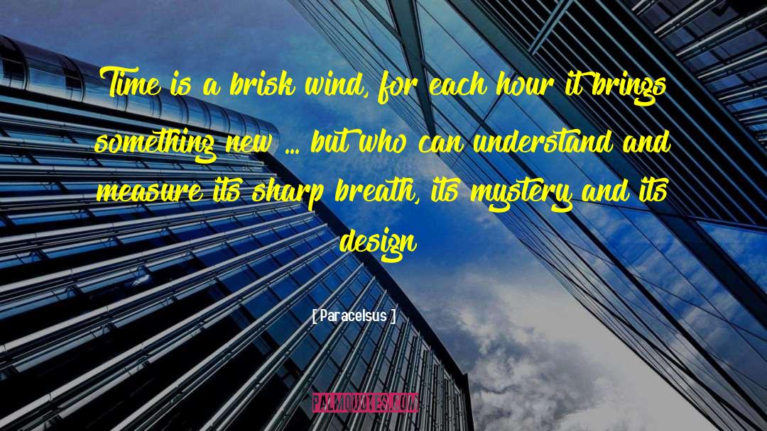 Wind Energy quotes by Paracelsus