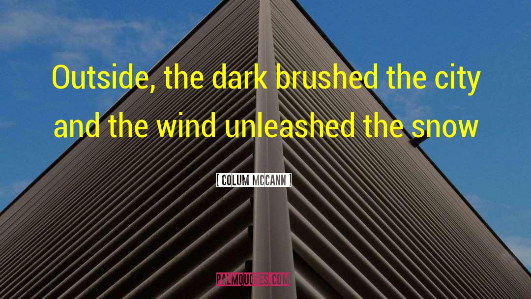 Wind Farms quotes by Colum McCann